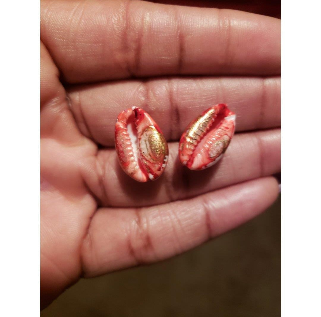 Cowrie Shell Studs