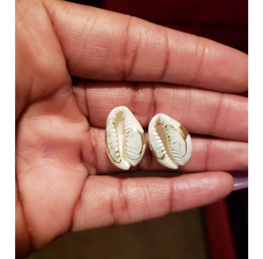 Cowrie Shell Studs